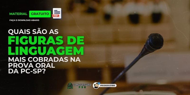 Polícia Civil Estudos Concurseiro PRO PRINCIPAIS FIGURAS E VÍCIOS DE LINGUAGEM